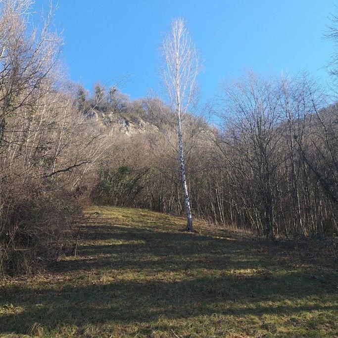 La Dependance Du Chateau De Triviers. Challes-les-Eaux Extérieur photo